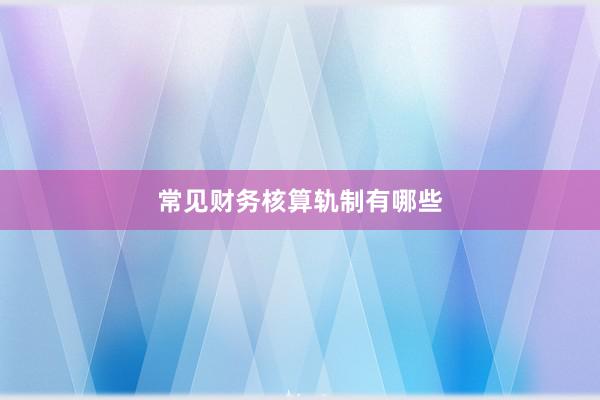 常见财务核算轨制有哪些
