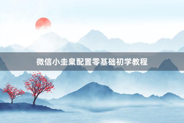 微信小圭臬配置零基础初学教程