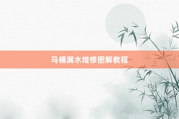 马桶漏水维修图解教程