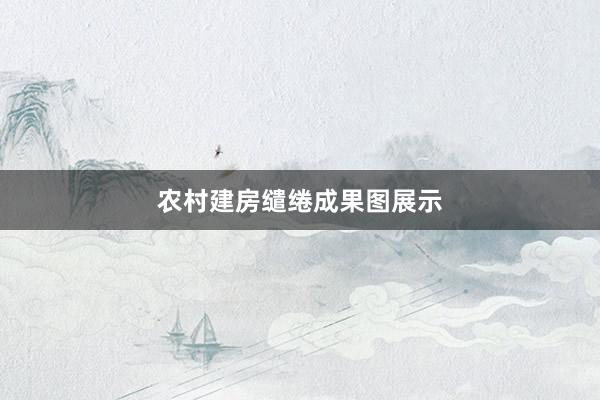 农村建房缱绻成果图展示