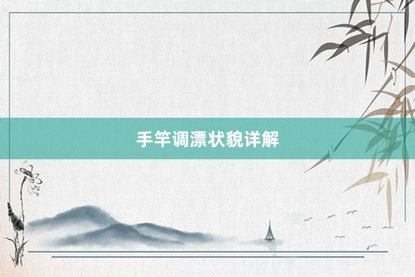 手竿调漂状貌详解